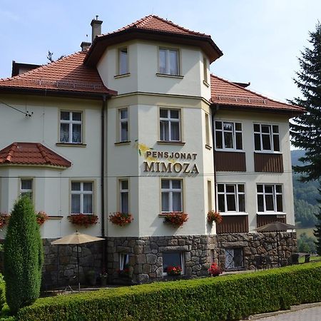 Pensjonat Mimoza Świeradów-Zdrój Exteriér fotografie