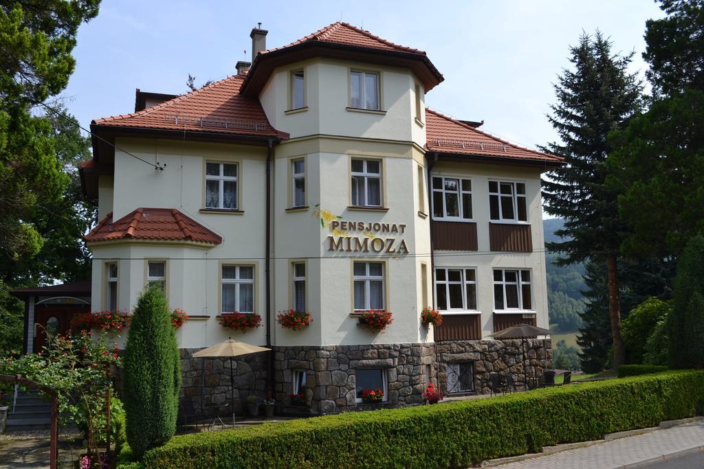 Pensjonat Mimoza Świeradów-Zdrój Exteriér fotografie